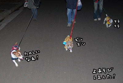 052.jpg