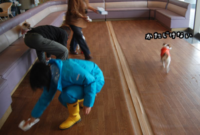 035.jpg