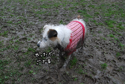 040.jpg