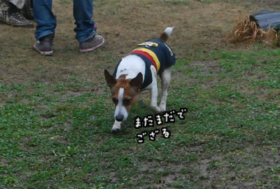 041.jpg