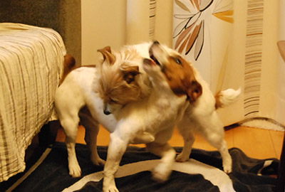 166.jpg