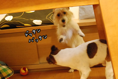 169.jpg