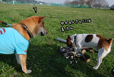 179.jpg