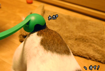 041.jpg