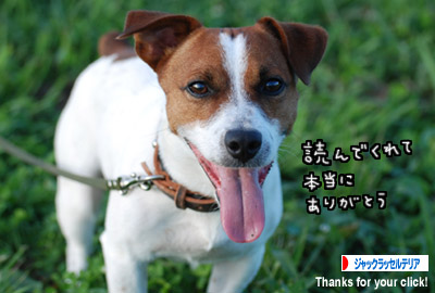 愛のクリック待ってます