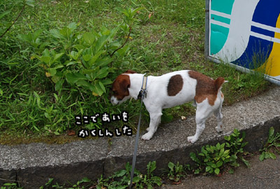 001.jpg