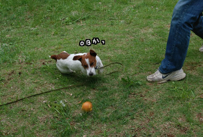 022.jpg