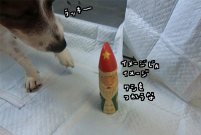 109.jpg