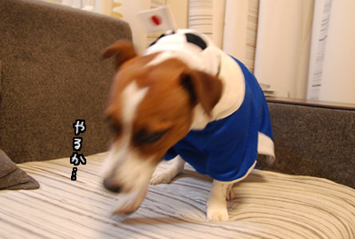 118.jpg
