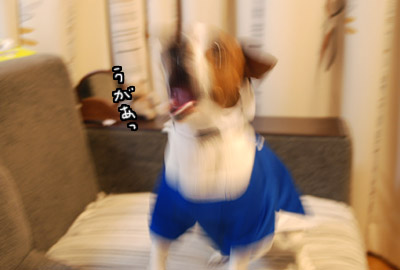 125.jpg