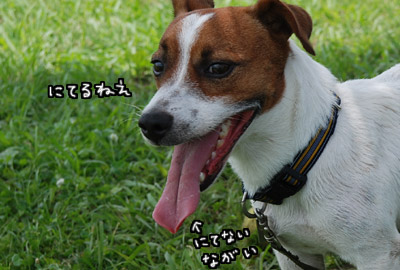 011.jpg