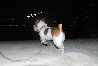 010.jpg