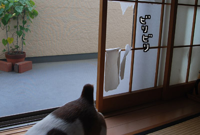 063.jpg