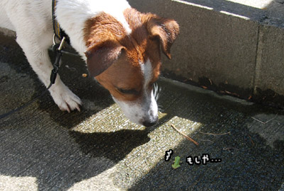 010.jpg