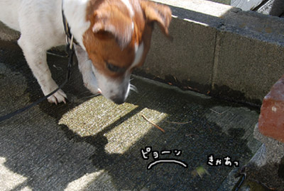 011.jpg