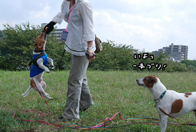 040.jpg