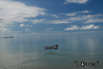 石垣島