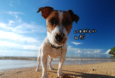 石垣島