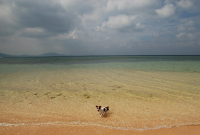 石垣島