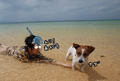 石垣島