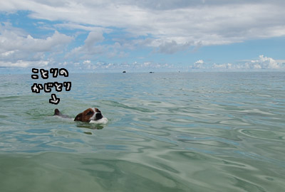 石垣島
