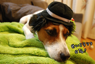 Trick or Treat