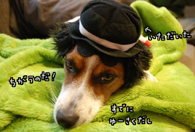 Trick or Treat