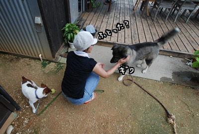 002.jpg
