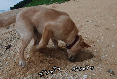 017.jpg