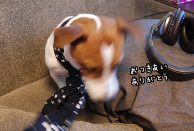 040.jpg