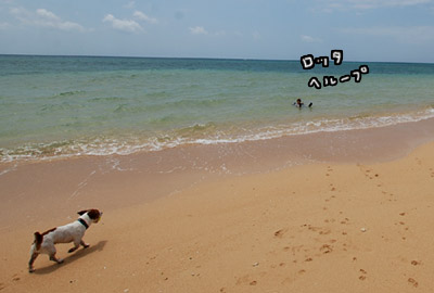 010.jpg