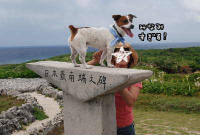 036.jpg