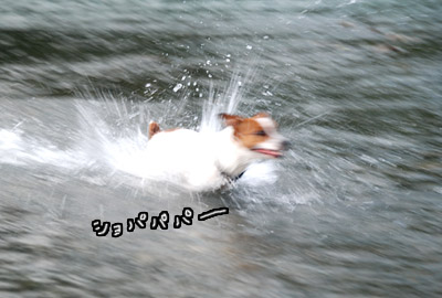 004.jpg