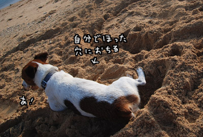 062.jpg
