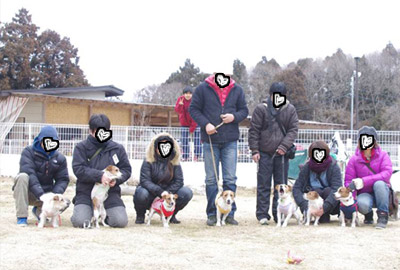 008.jpg