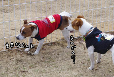 011.jpg