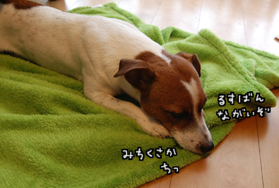 005.jpg