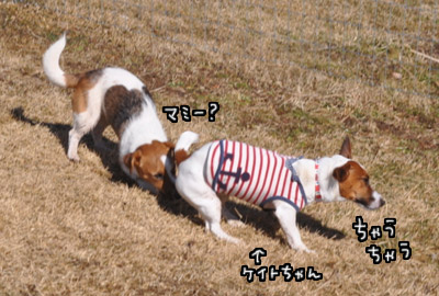005.jpg