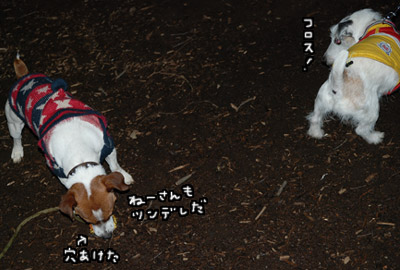 050.jpg