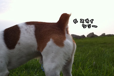 064.jpg