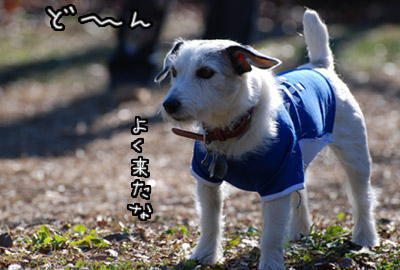 001.jpg
