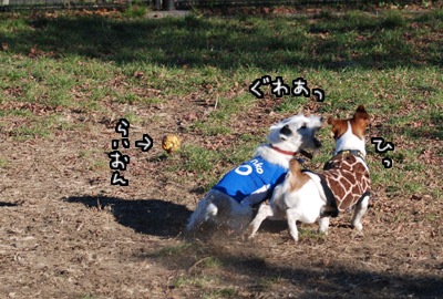 006.jpg