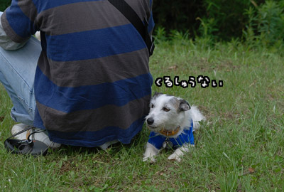 011.jpg