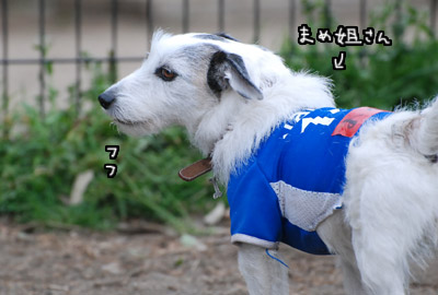 012.jpg